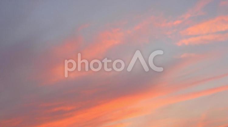 初夏の夕日 太陽,日暮れ,空の写真素材