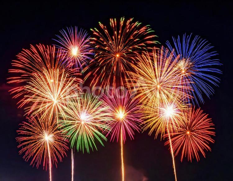 夏の夜空を彩る大輪の花火 花火,夏,夜空の写真素材
