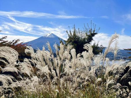 富士山 富士山,山,秋の写真素材