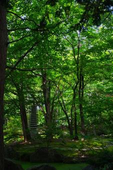 夏の神社への写真