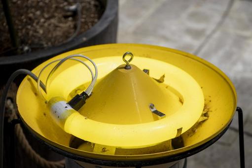 黄色い蛍光灯 黄色い蛍光灯,イエローランプ,黄色の写真素材