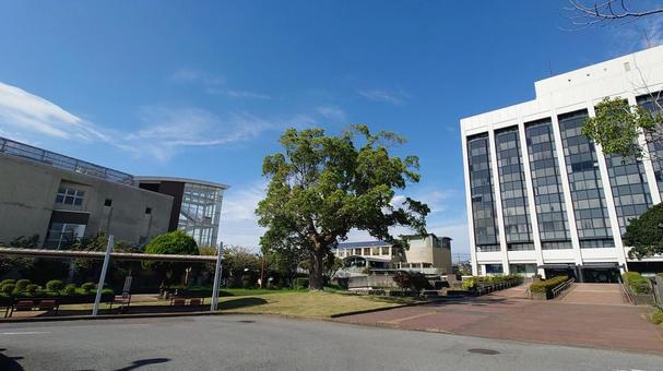君津市役所・生涯学習交流センター　千葉県 君津市役所,本庁舎,建物の写真素材