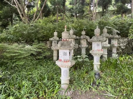 勝尾寺 勝尾寺 勝尾寺,だるま,寺院の写真素材