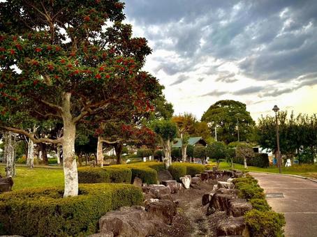 夕暮れ 夕方,公園,帰り道の写真素材