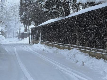 大雪の朝 大雪,寒波,牡丹雪の写真素材
