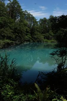 五色沼 五色沼の写真