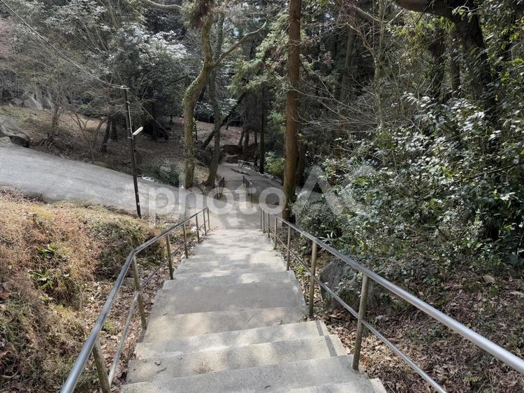 千仏鍾乳洞へ続く道 雪,平尾台,カルスト地形の写真素材