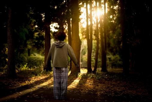 ＜素材＞夕暮れの森の中を散策する女性 女性,サンセット,夕方の写真素材
