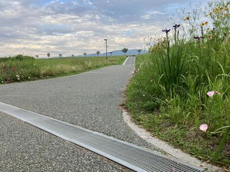 空と散歩道 空と散歩道 雲,空,曇りの写真素材