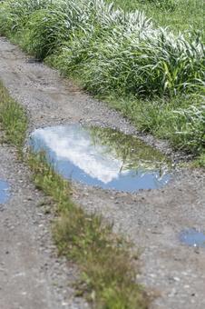農道の水たまり 農道の水たまりの写真