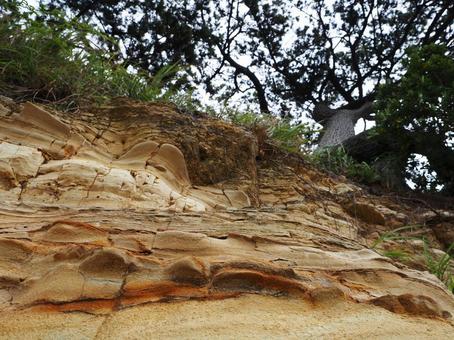 日間賀島の地層（愛知県） 日間賀島,地層,地質の写真素材
