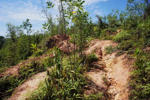 山道 山道,山,土の写真素材