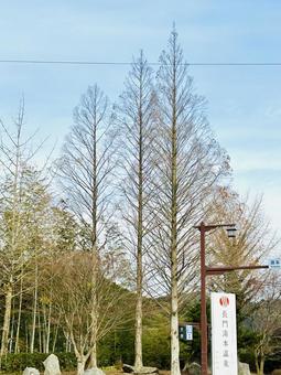 長門湯本温泉 山口県,長門湯本温泉,長門市の写真素材