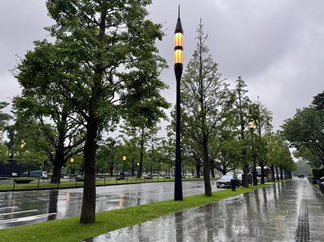 大雨の行幸通り 大雨の行幸通り 丸の内,行幸通り,東京の写真素材