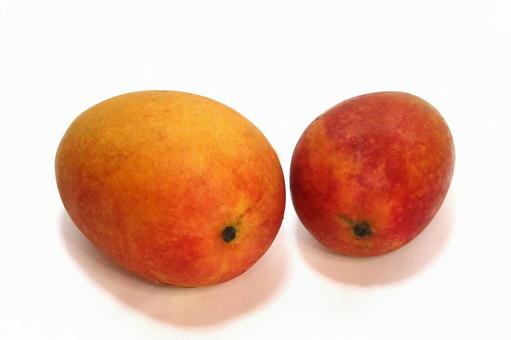 Photo, plant, fruit, fruits, 
