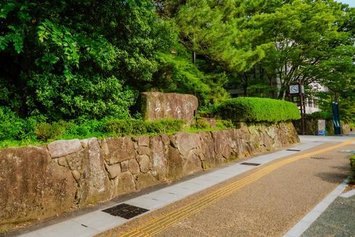 【岐阜】岐阜公園 2025の写真