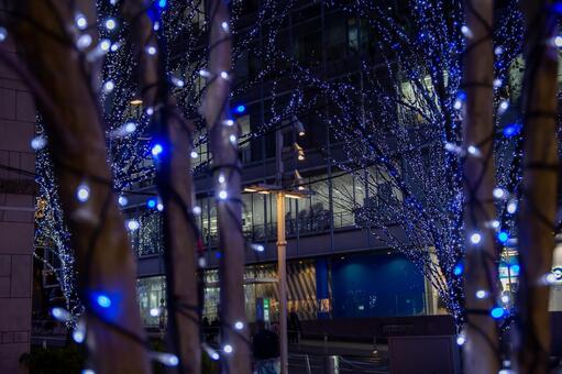 クリスマスのイルミネーション イルミネーション,クリスマス,ライトアップの写真素材