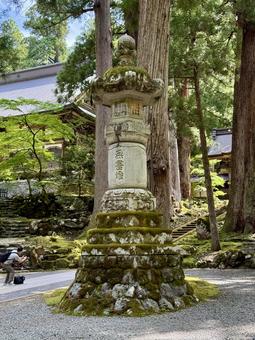 2025年夏の永平寺 石灯篭 2025年夏の永平寺 石灯篭 石灯篭,木陰,参道の写真素材