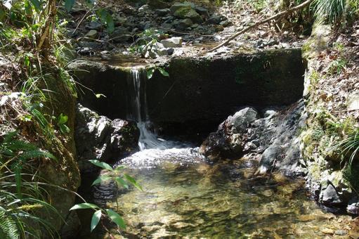 沢の段差 沢の段差の写真