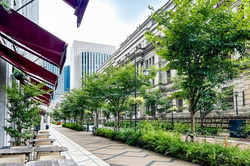 テラスのある美しい並木道とレトロな建物 テラスのある美しい並木道とレトロな建物 並木道,日銀通り,建築物の写真素材