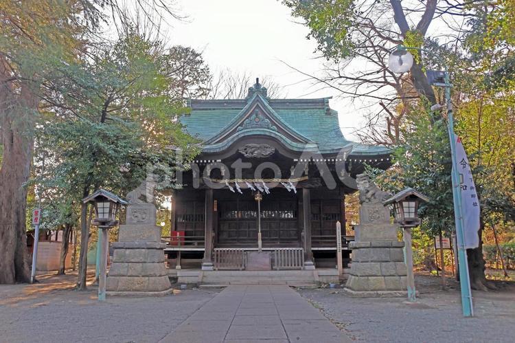 上石原若宮八幡神社（調布） 上石原若宮八幡神社,仁徳天皇,鎮守の写真素材