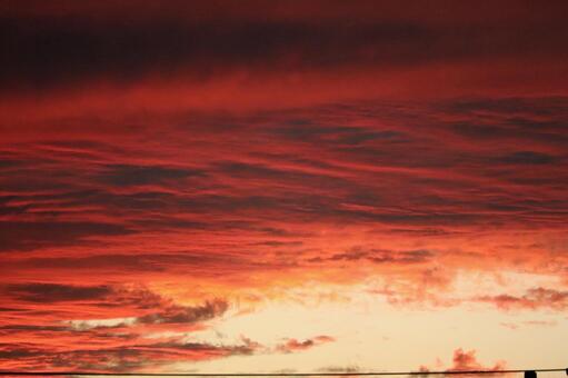 禍々しい夕空 夕空,雲,不気味の写真素材