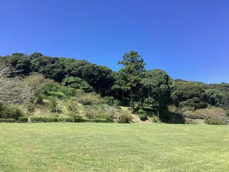 広場 広場 公園,広場,林の写真素材