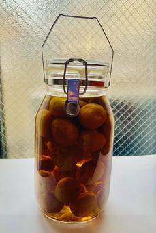 Plum syrup, JPG