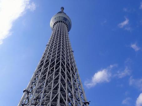 スカイツリーの写真