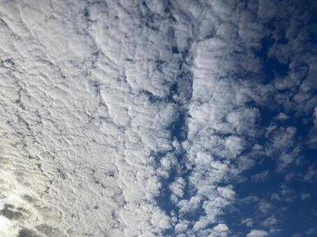 もこもこの雲がたくさんある青空 もこもこの雲がたくさんある青空の写真