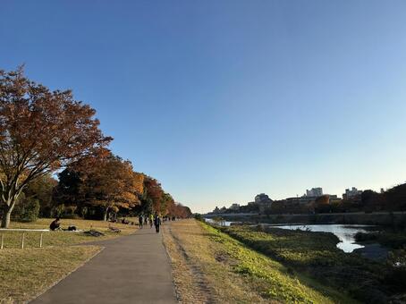 鴨川 鴨川,秋,京都の川の写真素材
