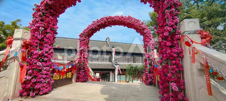 バラのアーチが彩る中華風の橋 バラのアーチ,中華風建築,花の装飾の写真素材