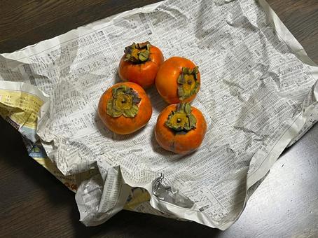 柿 柿,果物,フルーツの写真素材