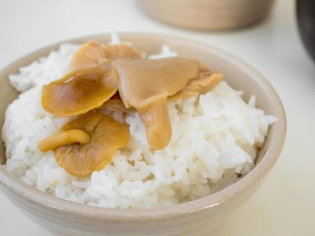 きのこ きのこ水煮 平茸 なめこ きのこ きのこ水煮 平茸 なめこの写真