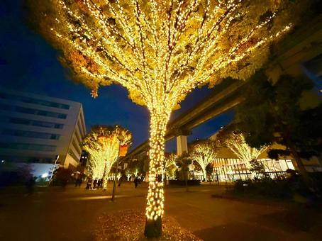 ツリーのイルミネーションとストリート 夜,夜景,ライトアップの写真素材