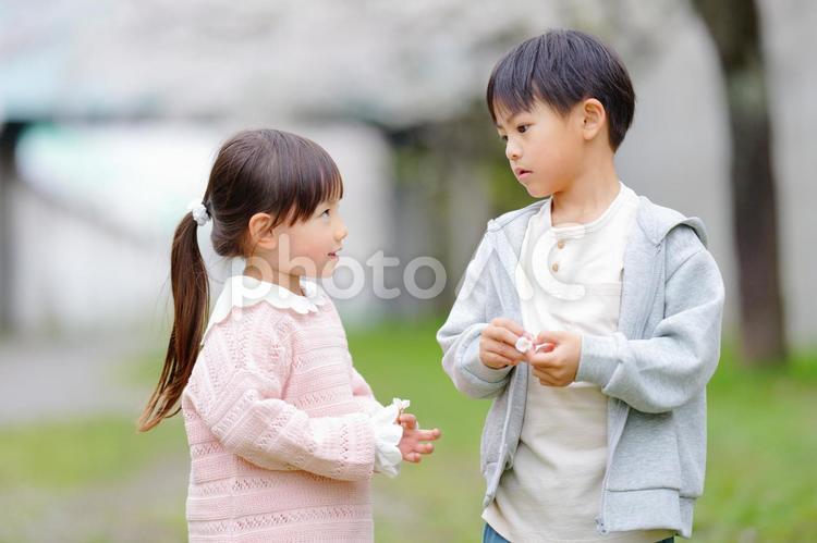 桜の花冠を持っている兄妹 男の子,女の子,兄妹の写真素材