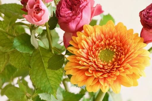 Roses and Gerberas, JPG Roses and Gerberas, JPG
