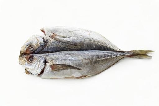 アジの開き アジの開き 鯵の開き,アジ,干物の写真素材