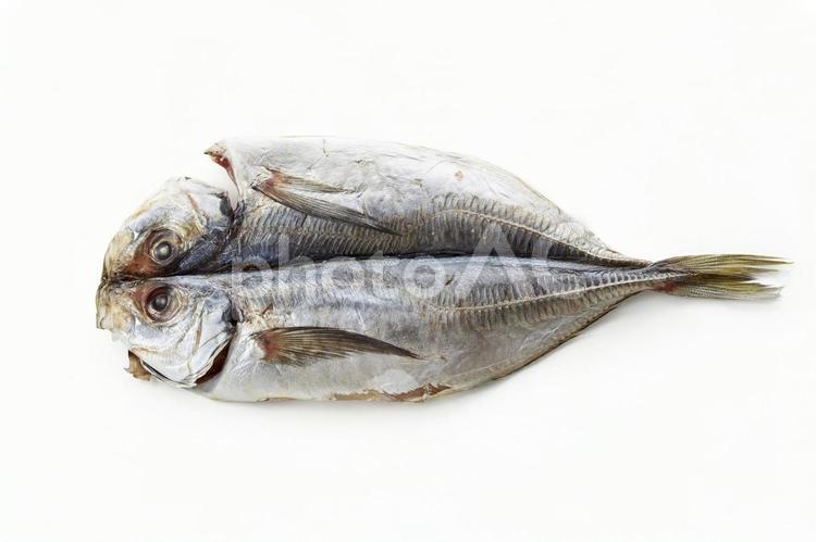 アジの開き 鯵の開き,アジ,干物の写真素材
