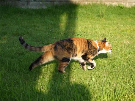 そーっとそーっとの写真