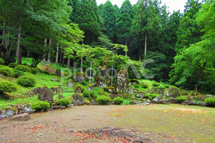 福井県-一乗谷朝倉氏庭園-諏訪館跡庭園 一乗谷,朝倉氏庭園,諏訪館跡庭園の写真素材