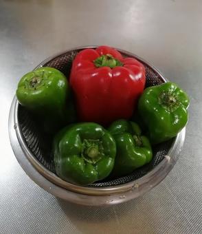 ポップ君たち ポップ君たちの写真