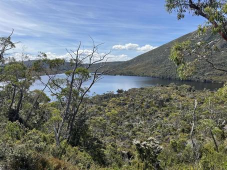 クレイドルマウンテン（ダヴレイク） クレイドルマウンテン,タスマニア,国立公園の写真素材