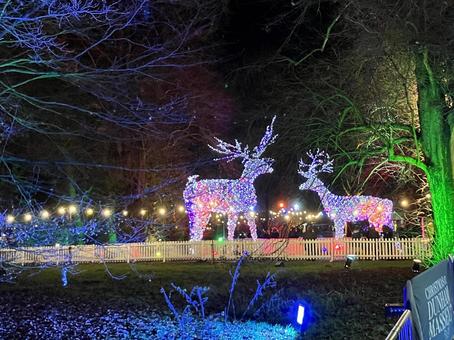 クリスマス クリスマスの写真