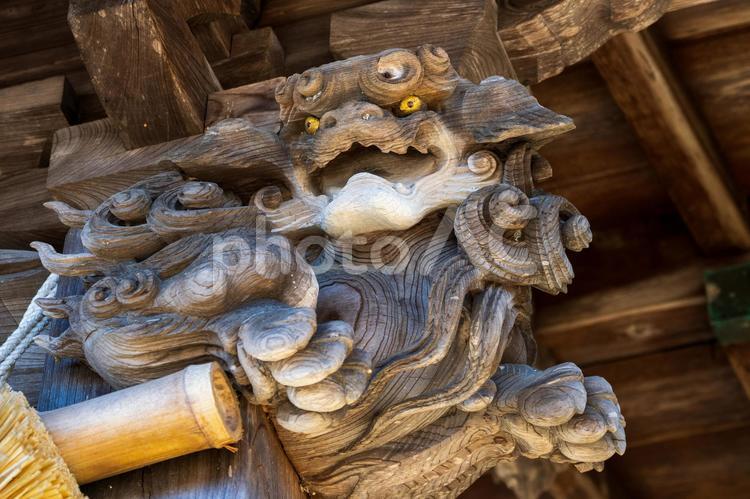 多賀神社-名取市⑾ 神社,多賀神社,神社仏閣の写真素材