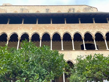 中庭からのアーチ窓(ペドラルベス修道院) 中庭からのアーチ窓(ペドラルベス修道院) バルセロナ,スペイン,ペドラルベス修道院の写真素材