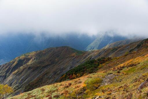 八方尾根の紅葉 白馬,八方尾根,長野の写真素材