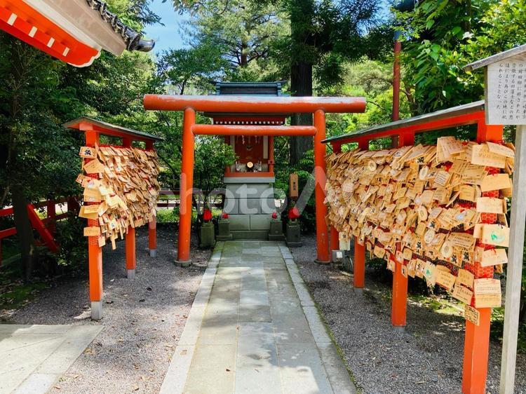 金澤神社　白阿紫稲荷大明神 金澤神社,石川県金沢市,神社の写真素材