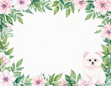 子犬と花のフレームの写真