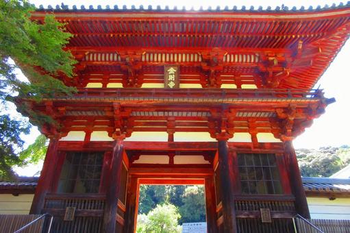 大阪府-金剛寺-楼門 大阪府-金剛寺-楼門の写真
